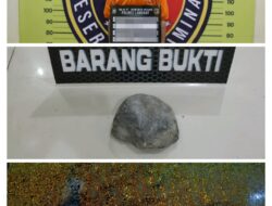 Resahkan Pengguna Jalan, Pelempar Mobil Box di Pantai Gemi Diringkus Tim Pidum Polres Langkat!