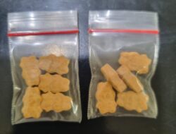 Polres Binjai Ciduk Jaringan IRT Saat Jualan Narkoba di Tandem Hilir