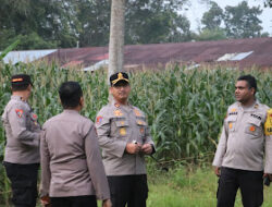 Polres Langkat Fasilitasi Akses KUR dan Penyerapan Bulog, Perkuat Ekosistem Jagung untuk Ketahanan Pangan Nasional