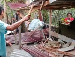 Polres Binjai Kembali Gerebek dan Musnahkan Barak Narkoba di Binjai Barat