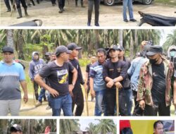 Sejumlah Warga Terluka, Kasus Dugaan Kekerasan Pihak PT BSP di Area Eks HGU