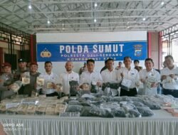 Polresta Deli Serdang Bongkar Jaringan Narkoba Internasional di Pintu Tol Lubuk Pakam, Barang Bukti Senilai Rp 57 Miliar Disita   