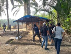 Satresnarkoba Polres Binjai Kembali Grebek Dan Hancurkan Barak Narkoba Di Desa Perdamaian