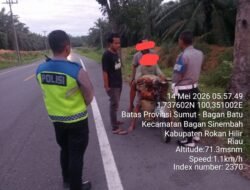 Patroli Subuh Polsek Torgamba: Dua Pria Pembawa Sawit Diduga Hasil Curian Diamankan
