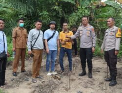 Lakukan Pengembangan, Satresnarkoba Polresta Deli Serdang bersama Polsek Tanjung Morawa kembali temukan batang ganja dan lakukan pemusnahan di Kecamatan Tanjung Morawa 