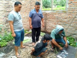 Polsek Secanggang Gagalkan Dugaan Transaksi Sabu Di Rumah Kosong, Seorang Pria Diamankan