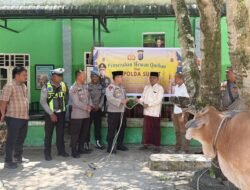 Jelang Idul Adha, Kapolres Labusel Serahkan Sapi Kurban Titipan Kapolda Sumut ke Ponpes El Firdaus