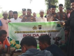 Waka Polres Rohil Hadiri Pemotongan Hewan Qurban di Bagan Cempedak, Salah Satunya Sumbangan Kapolda Riau