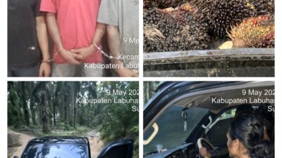 Unit Reskrim Polsek Torgamba Ringkus Komplotan “Ninja Sawit” di Kebun Aek Torop, Satu Unit Pick Up Diamankan