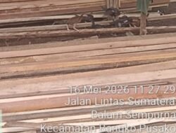 Maraknya Somel Ilegal di Balam Sempurna Diduga Gunakan Kayu Tanpa Dokumen Resmi Dari Pihak terkait .