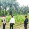 Wujudkan Kelestarian Lingkungan, Bhabinkamtibmas Polsek Rimba Melintang Sosialisasi Green Policing dan Tanam Pohon Bersama Warga