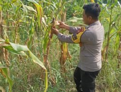 Polsek Rimba Melintang bergerak cepat mendukung Program Asta Cita Presiden RI 