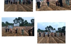 Dukung Asta Cita Presiden, Polsek Rimba Melintang Sulap Lahan 1 Hektar Jadi Kebun Jagung Pipil