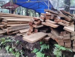 Dua Bulan Kasus Kayu Ilegal Mengendap, Kinerja Reskrim Polres Dumai Dipertanyakan Masyarakat  Lamban Usut Kasus Ilegal Logging,