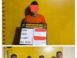 Polsek Kampung Rakyat amankan Pelaku Pencurian buah sawit di perkebunan P.T. Tolan Tiga Indonesia