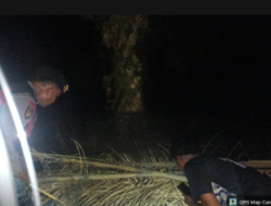 Gerebek Sarang Narkoba di Torganda, Polsek Torgamba Temukan Jejak Penggunaan Narkotika
