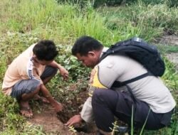 Tanam Pohon Trembesi di Sungai Bakau, Polsek Sinaboi Gencarkan Green Policing