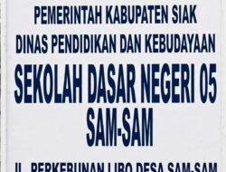 Kondisi Fasilitas SDN 05 Sam-Sam Memprihatinkan, Publik Desak Evaluasi Kepemimpinan dan Audit Dana BOSP