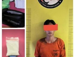 Gerak cepat Satresnarkoba Polres Labusel Berhasil Ringkus Jali Dengan Barang Bukti 194,80 Gram Sabu di Kotapinang