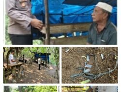 Polsek Sungai Kanan Laksanakan GSN Bongkar Pondok Diduga Tempat Penyalahgunaan Narkoba di Desa Sabungan