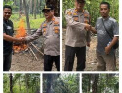 Polsek Kampung Rakyat Tindak Lanjuti Dumas Dugaan Peredaran Sabu Gerebek Lokasi di Tanjung Medan