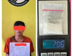 Seorang Pria Diamankan Satresnarkoba Polres Labusel dengan Barang Bukti 2,06 Gram Sabu di Perkebunan Sei Rumbia.