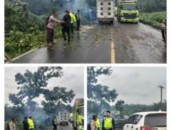 Satlantas Polres Labusel Sigap Amankan Kemacetan Akibat Laka Tunggal di Jalinsum PTPN IV Sisumut