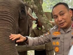 Pamit dari Riau, Komjen Herry Heryawan Titip Pesan Lestarikan Gajah dan Alam