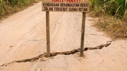 Investigasi Pers: Proyek Jalan Ladang Panjang Jambi Diduga Bermasalah, APH Desak Segera Turun 