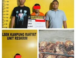 Polsek Kampung Rakyat Amankan Terduga Pelaku Pencurian Sawit di Kebun Perlabian