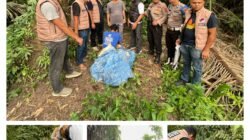 GERMAS TOBA Polres Labusel Gerebek Lokasi Diduga Transaksi Sabu di Kotapinang, Seorang Pria Diamankan