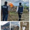 Tegaskan Komitmen Berantas Narkoba, Kapolres Binjai Musnahkan di duga Barak Narkoba di Tunggurono