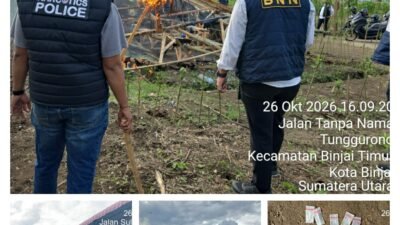 Tegaskan Komitmen Berantas Narkoba, Kapolres Binjai Musnahkan di duga Barak Narkoba di Tunggurono