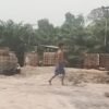 AWI Rohil Soroti Aktivitas Mafia CPO Ilegal di Jalan Lintas Sumatra, Kapolda Riau Didesak Turun Tangan