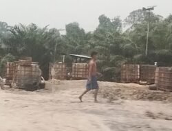 AWI Rohil Soroti Aktivitas Mafia CPO Ilegal di Jalan Lintas Sumatra, Kapolda Riau Didesak Turun Tangan